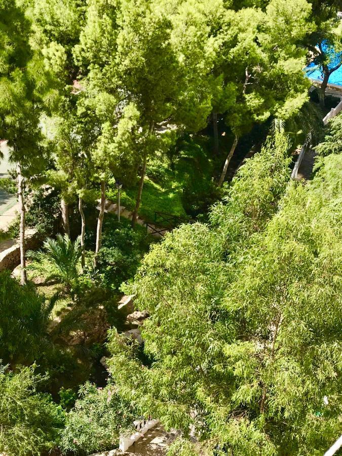 Gran Park Appartamento